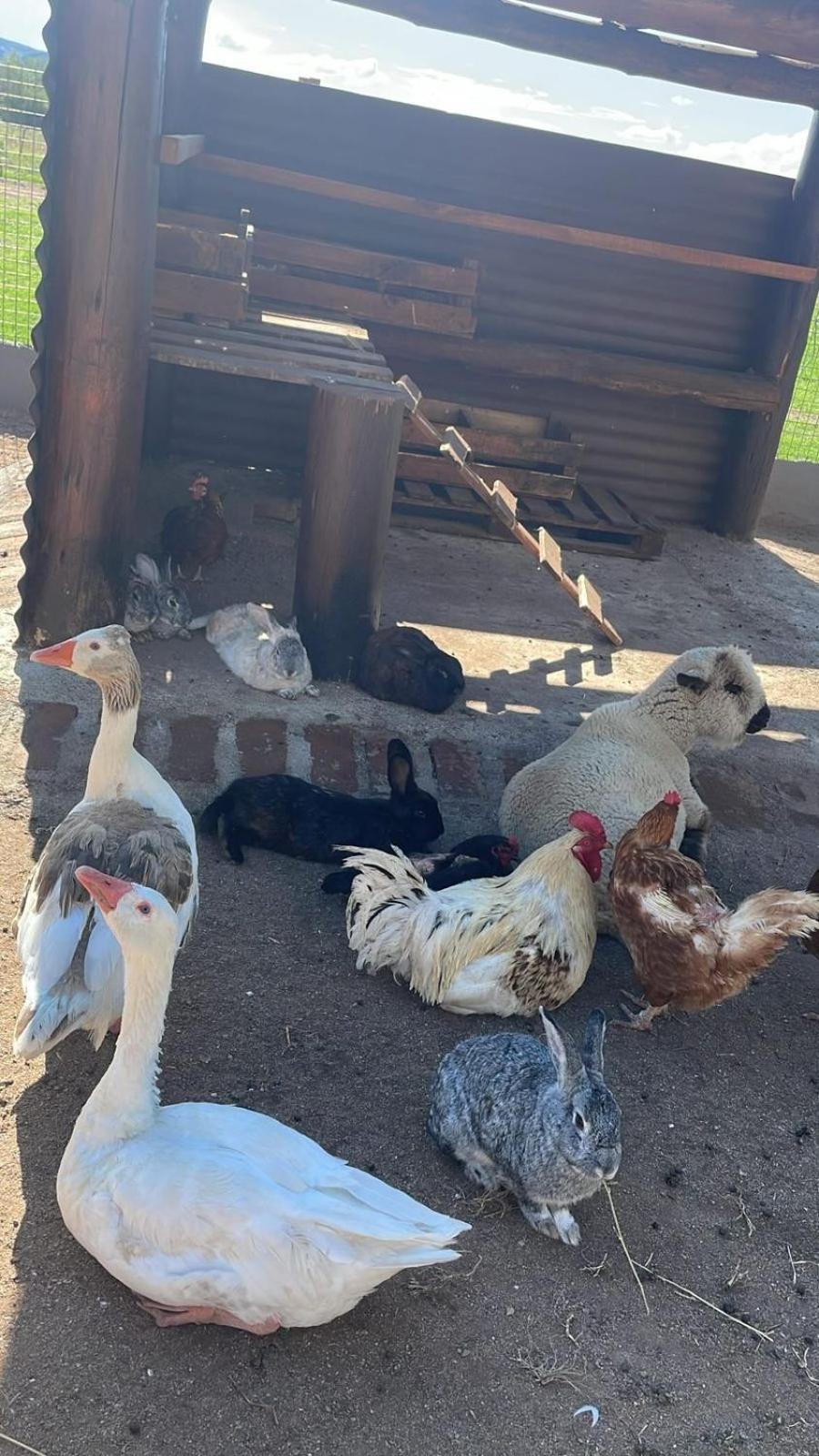 Complejo La Morena Mina Clavero Dış mekan fotoğraf